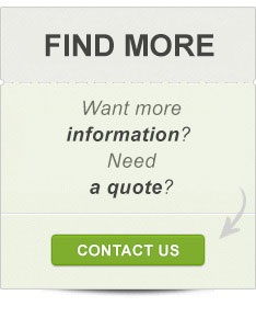 Find More